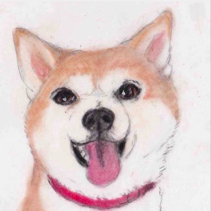 678273e8 8371 4f50 b647 16bbb56a8e51 1661136235802