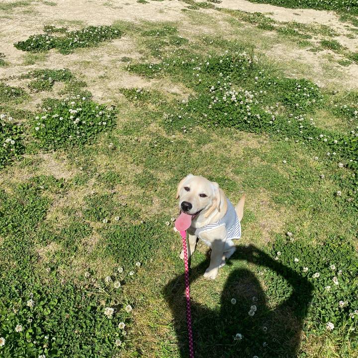 67828ea2 7e4e 4d92 97f2 119b0985ec33 1619390493189