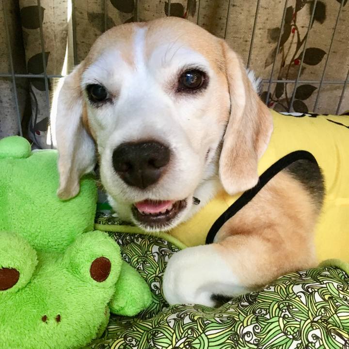 6782949d 5b85 45ac bee5 9947fea1f14c 1568694017299