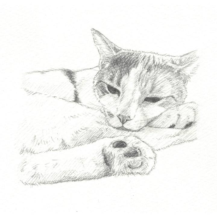 6782acb0 3ab4 4d3c be21 3d9eeab37f41 1548078050678