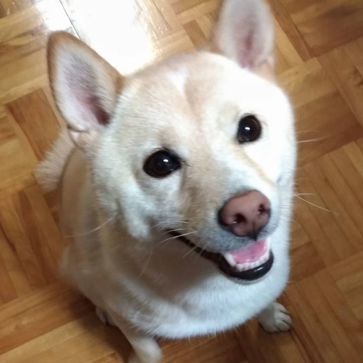 6782b9ae 2a2e 478c 963d dd44819ee0a0 1566426855147