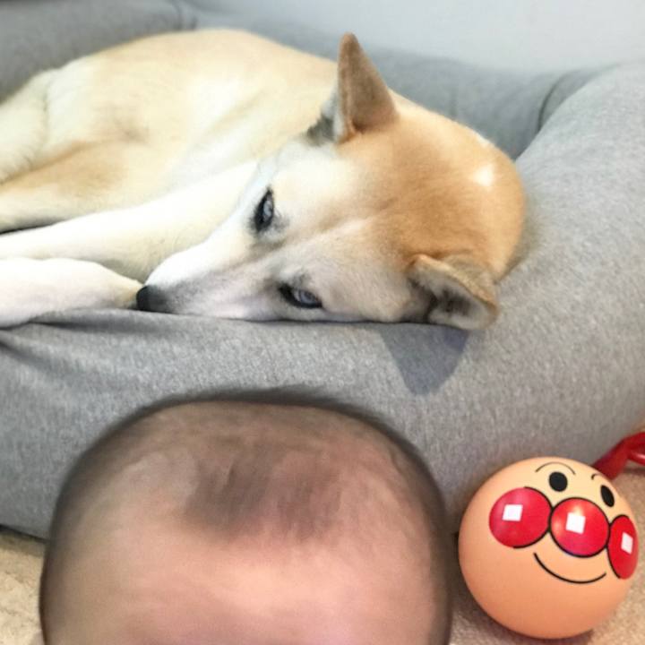 6782c2a4 3130 49c9 b3b8 de6347533a47 1544069391368