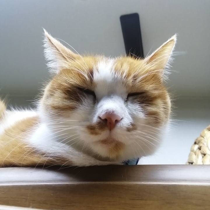 6782d025 9dbe 4c0e a254 74331443fa6a 1643195981092