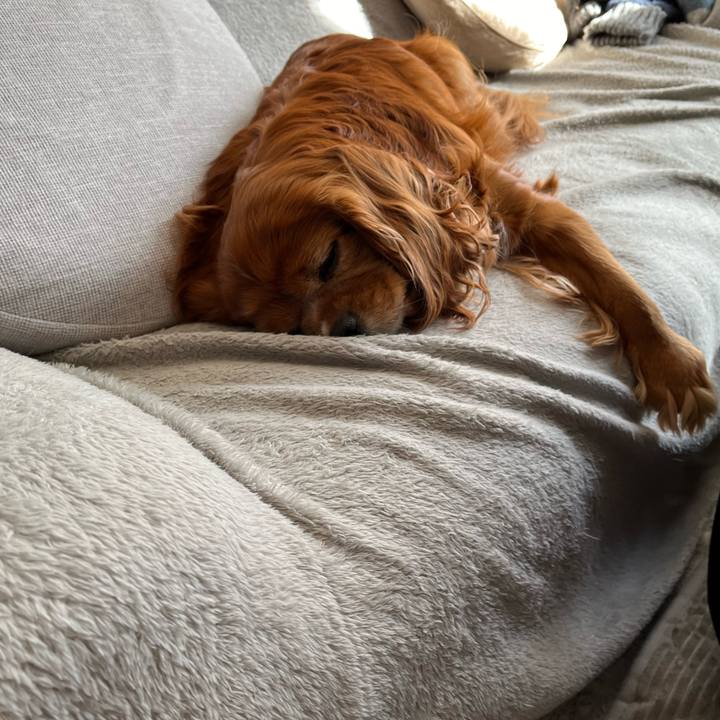 6782d273 c17d 46b5 a15f e5ceed6fe015 1703938950881