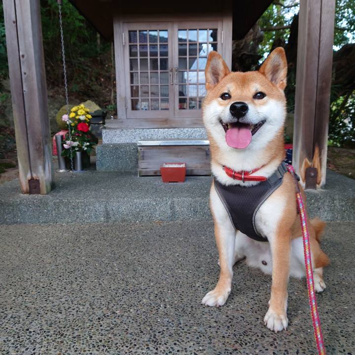 6782d959 7d13 42dc a6ec 302f4d63c11d 1761388132722