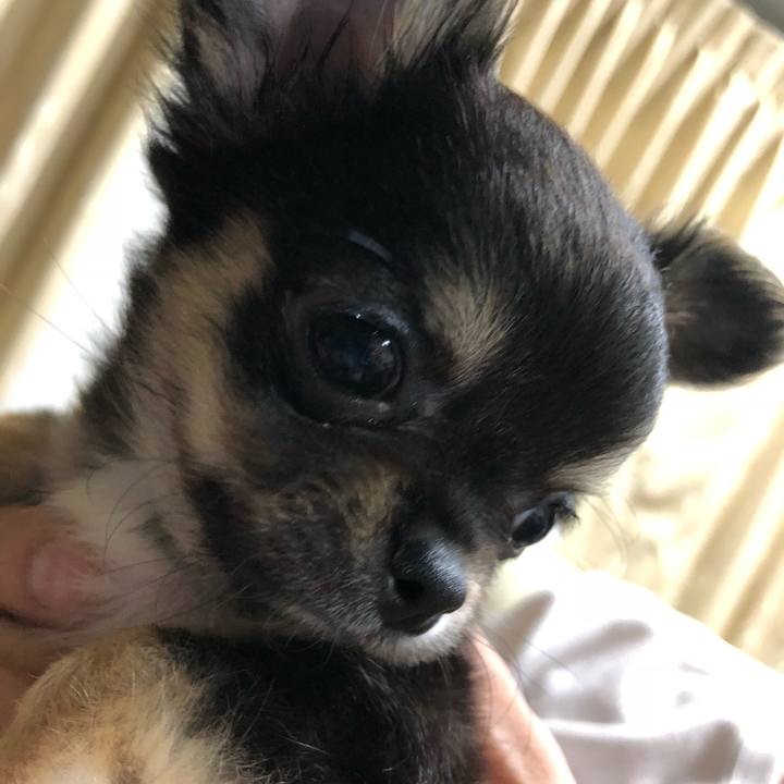 67830476 1aeb 4025 acad 68f74389dac9 1534592189528