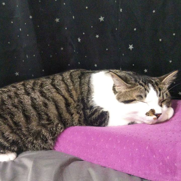 67832d2b e029 4f3b b0fb eb75625305fc 1626915462672