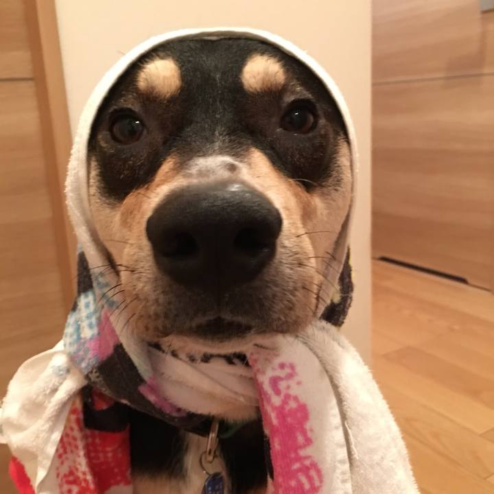 67834ee5 b9c0 4be6 b3e2 8c7d3cfe8746 1528476483065