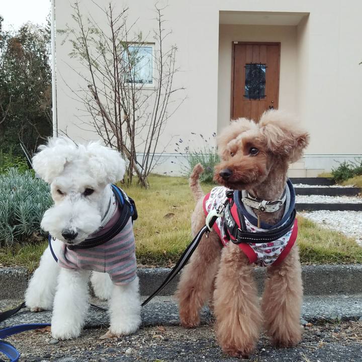 678383df bcd5 4d45 8538 1c847e30bf71 1510785577661