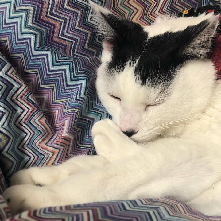 678387e5 eeff 45e6 990a ac55ec532690 1547293356662