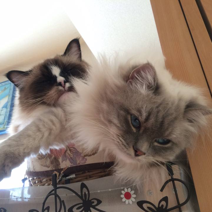 6783963a 5f46 4704 b36b b16b9f6d837e 1508333309426