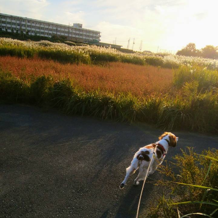 67839fda 6058 48e5 9d60 701de34c8cc4 1540888168679