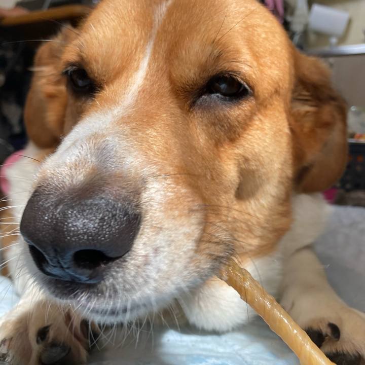 6783d324 5a93 49ae 9b12 55f364baeb92 1724373105035