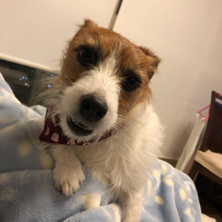 6783eba3 59de 45b7 aac2 2cdfe24e4a41 1579433261860