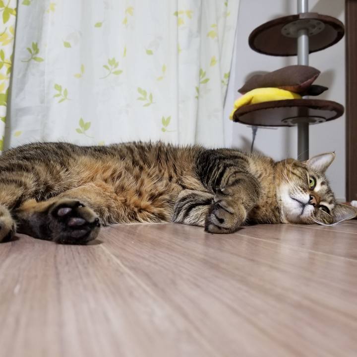 6783fa2e 58f2 4640 b10c 54f9a288688a 1610452418208