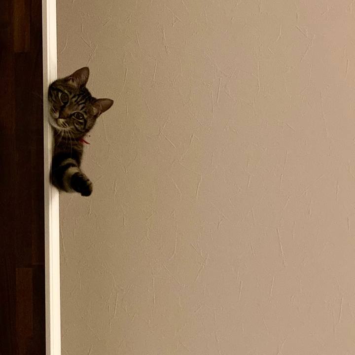 6783ffdf 29e3 4996 8985 be392fa0843b 1626616445902