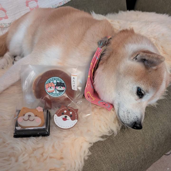 67845070 067d 4af8 8b03 bd2db8f25c72 1773551614811