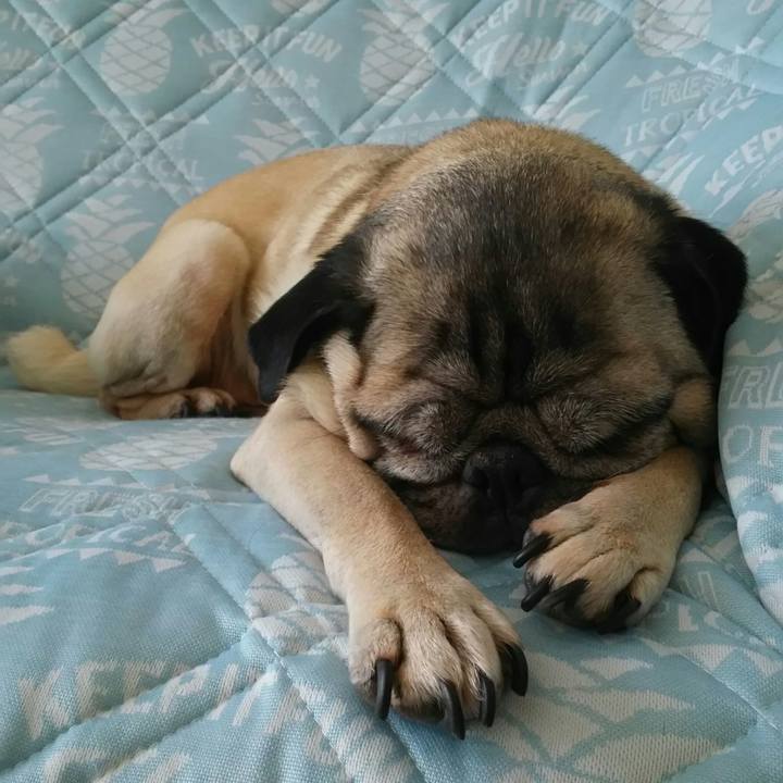 678479c1 3230 4649 8ac7 dda2c9cc12ff 1533345941075