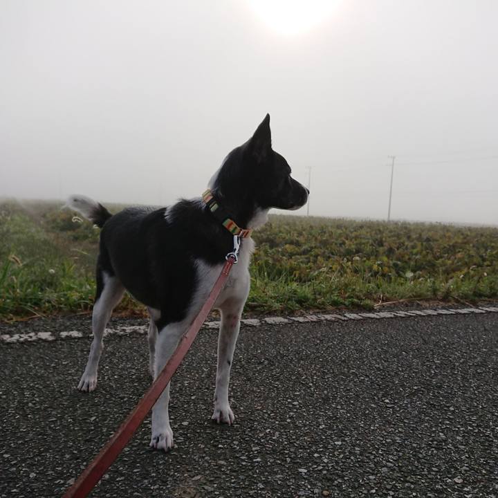 67848dcc be27 40ae 952f afb86ae7788c 1539820254026