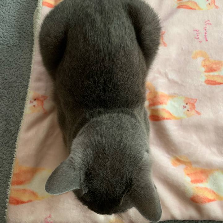 6784b803 323a 442e 9329 e372801b2bb7 1625525079504