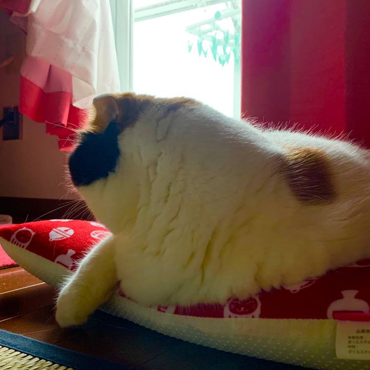 6784e338 3924 456d ac3a 2c2b249445be 1562878025478