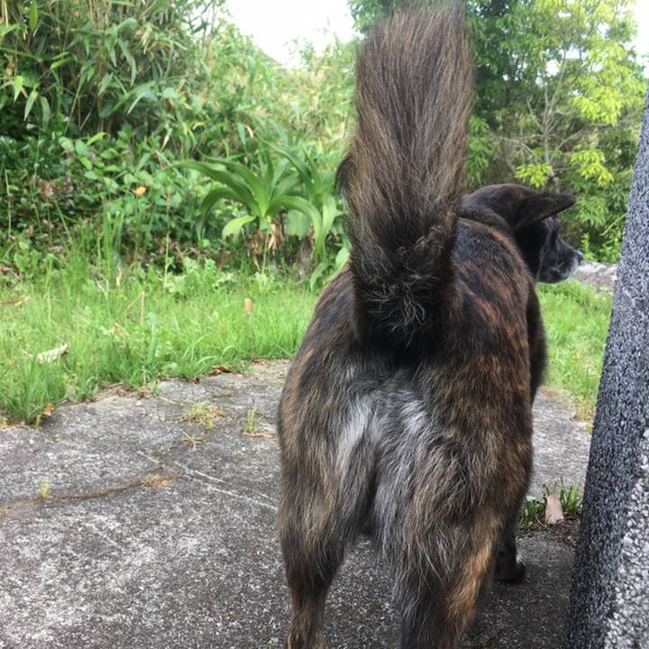 6785241a e44b 4066 b872 4824bfdf0cc0 1558623919794