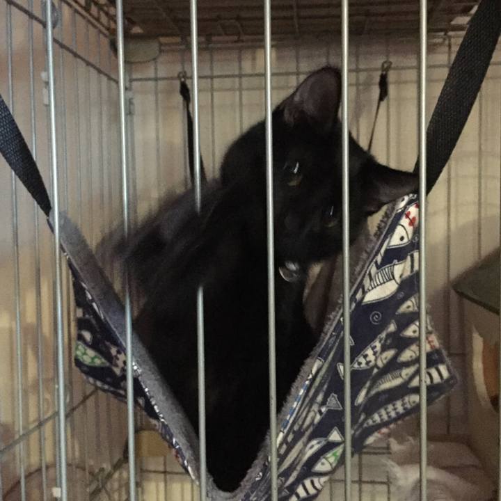 67852521 5de7 46bb a6e6 8f134c9c2fe2 1579996572905