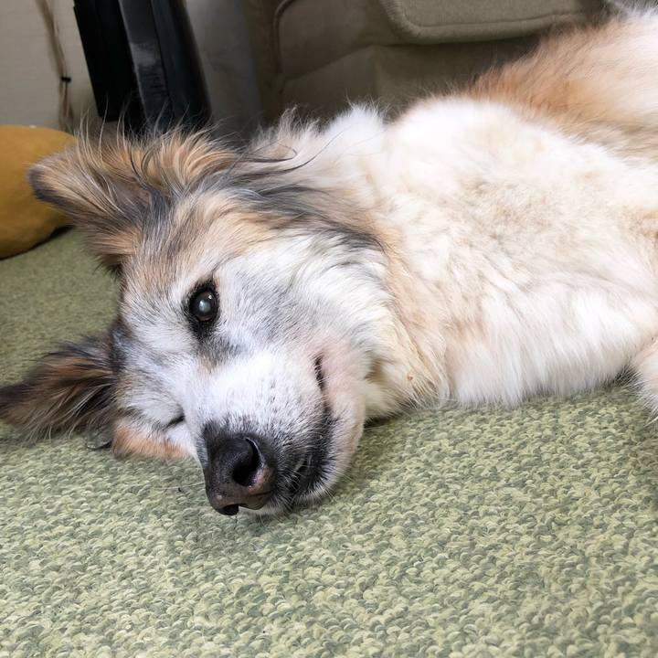 67852e62 31e8 414b 91a4 7ba9a9b1b1c9 1558226534437