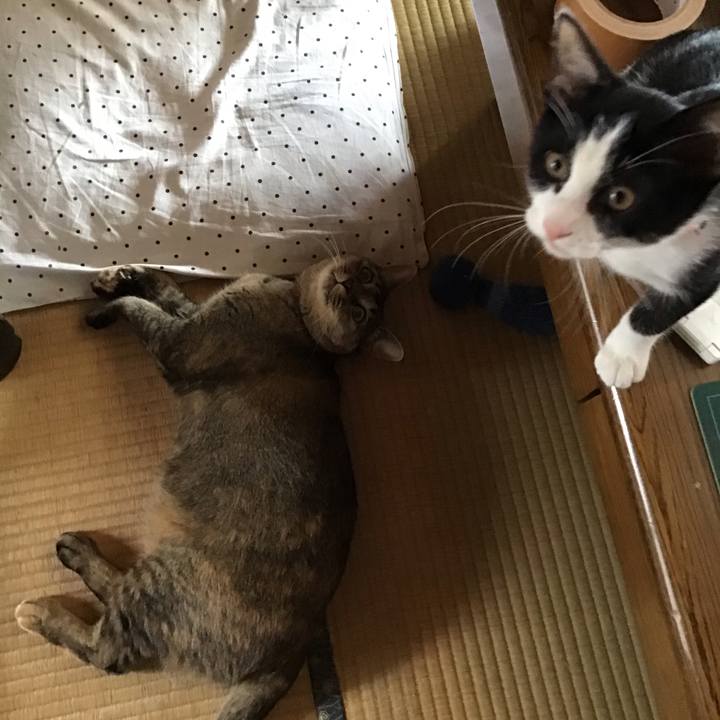 67853ef7 4afa 4bc3 bad9 1298933cb866 1627889489567