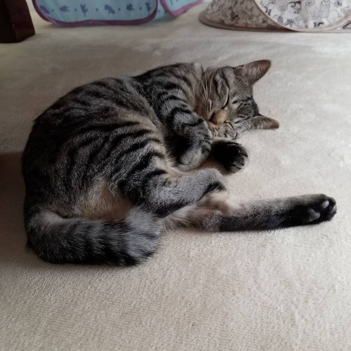 678565c7 f8e1 485c b160 28164666f675 1675230952904