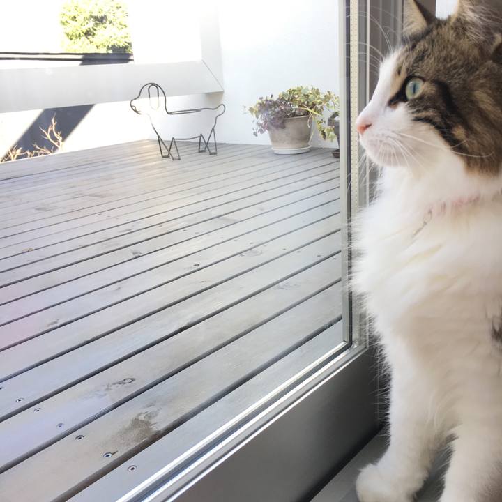 678574f0 742c 4113 beca 88066b10c031 1520989350716