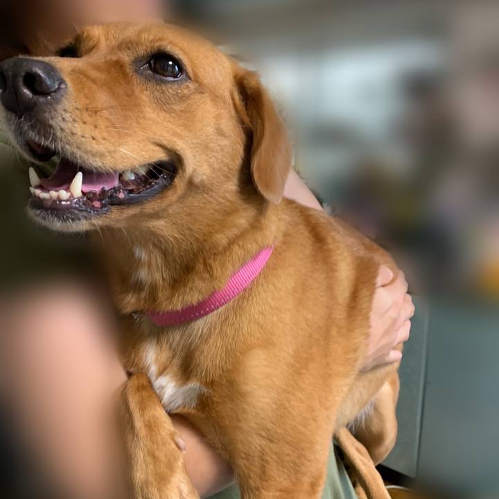 6785bb9b db92 48e0 8ef4 d10ccdf297f0 1568497320762