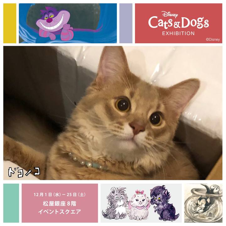 6785c19d 3da8 4aa3 948f f852a40468fa 1638323349754