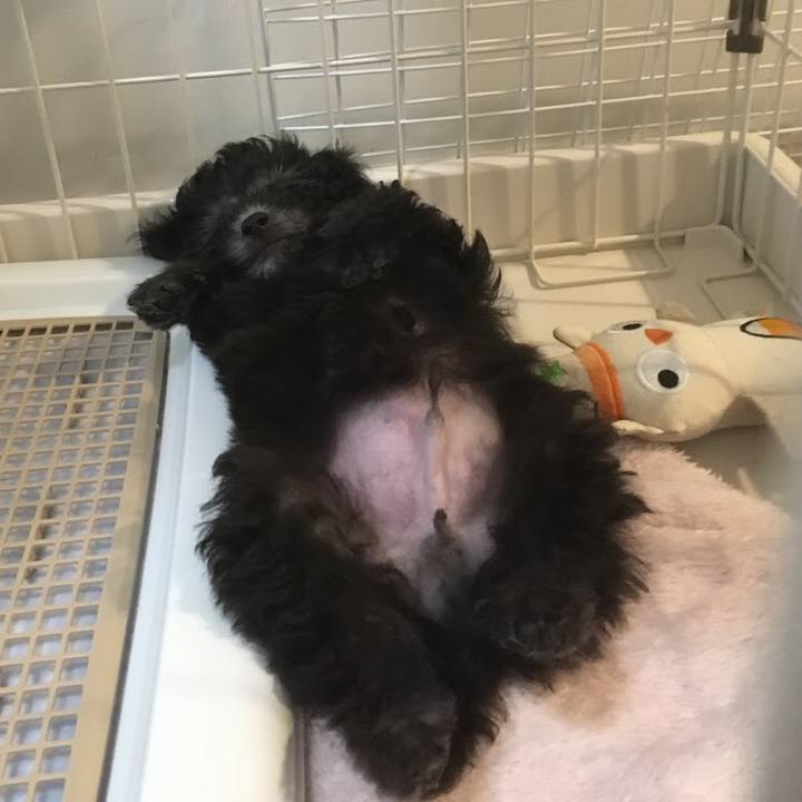 6785cd96 74d7 46ac b256 fe130d20d1bf 1588076222448