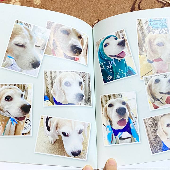 6785f958 e844 43f4 a0da 282de58d8f8e 1631770833427