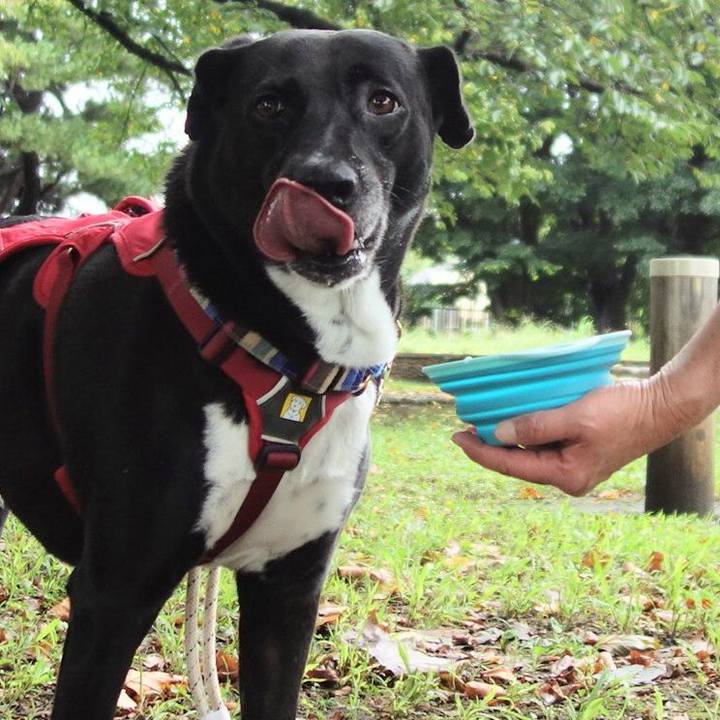 67863bd4 75e2 4bf9 919b 42682bbd5736 1662595477586