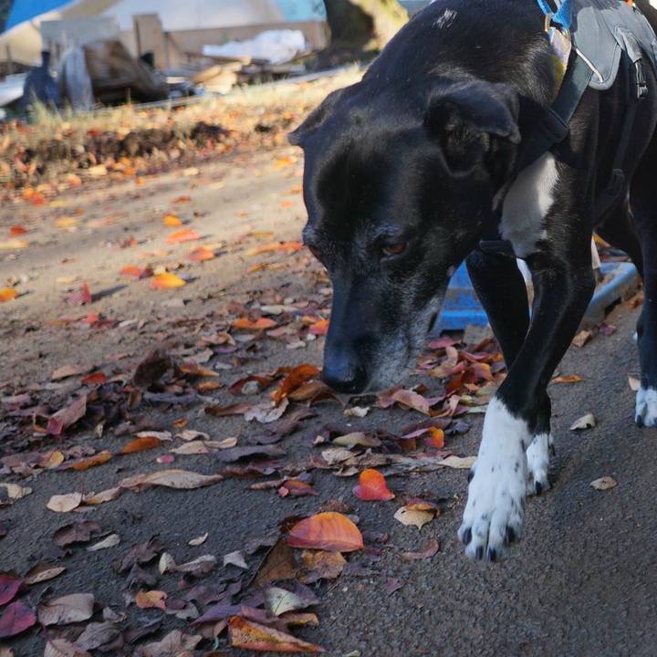 678655ee 0fe8 46e8 9c8a a2dab0ba568f 1762906478891