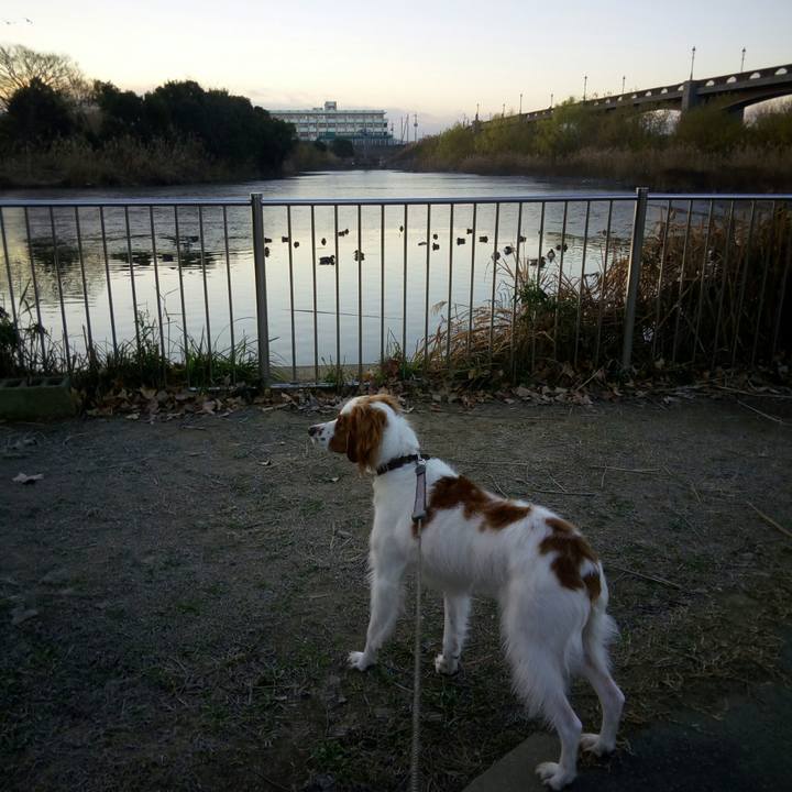 67865e03 2f08 4759 828b fbe0c513a809 1513556197931