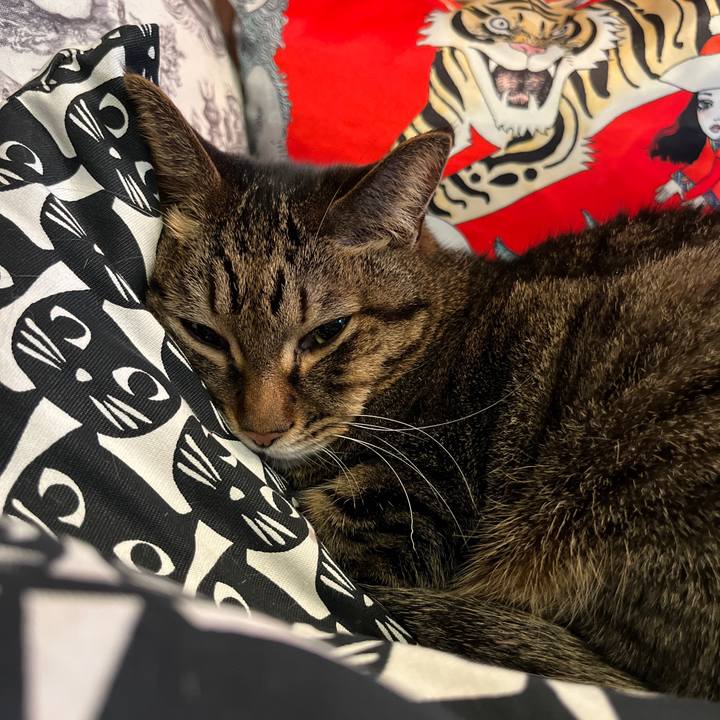 6786c08f ce8b 49d5 97bf 314a6695a25b 1765668379503