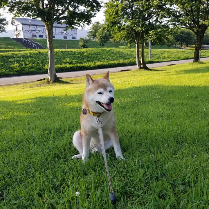 6786c2fe b6b7 4fb4 8ef4 4a41e8210b3f 1690013235380