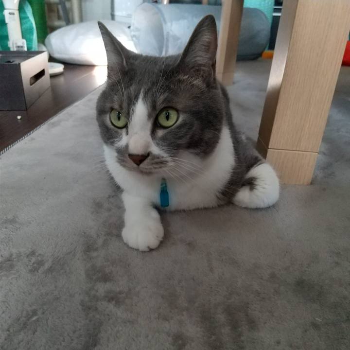 6786fd87 0726 4aa0 aa2b 21e759abee71 1651718901300