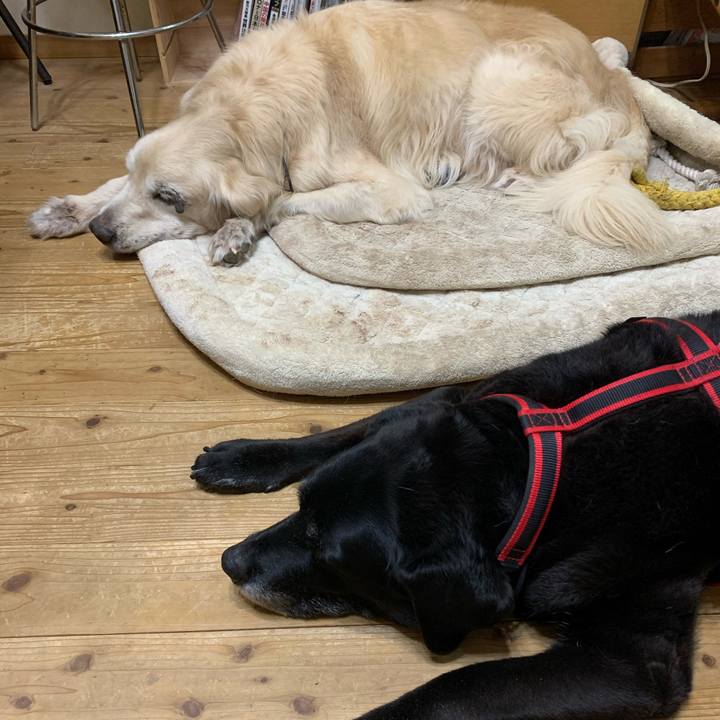 67871829 a3bf 4058 a4e8 e8fec84b3157 1612662176670