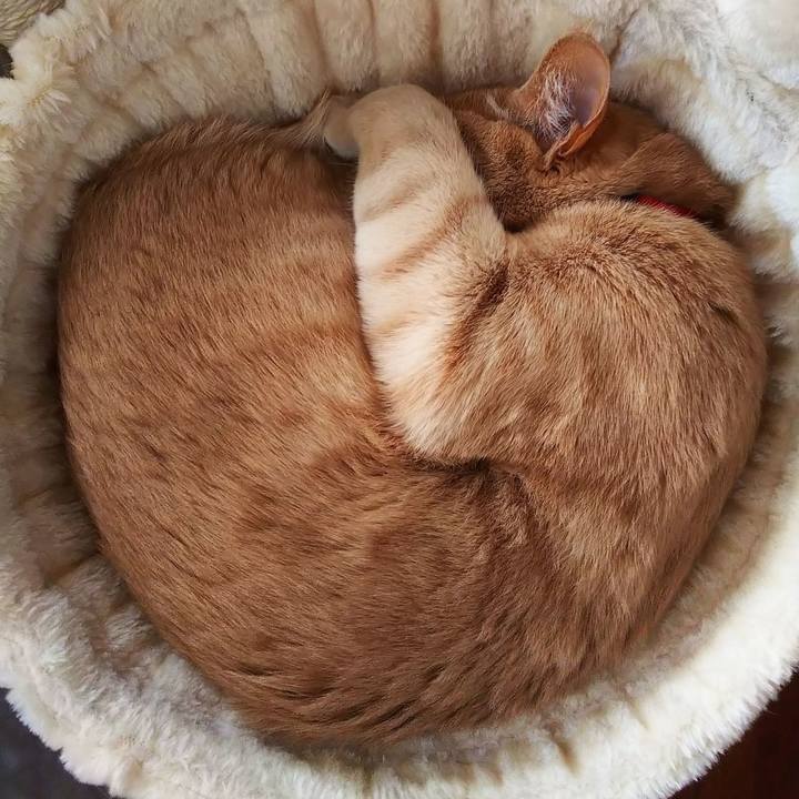 67873c0e 0fc5 4817 bbb3 2a434db9f36c 1583793183585