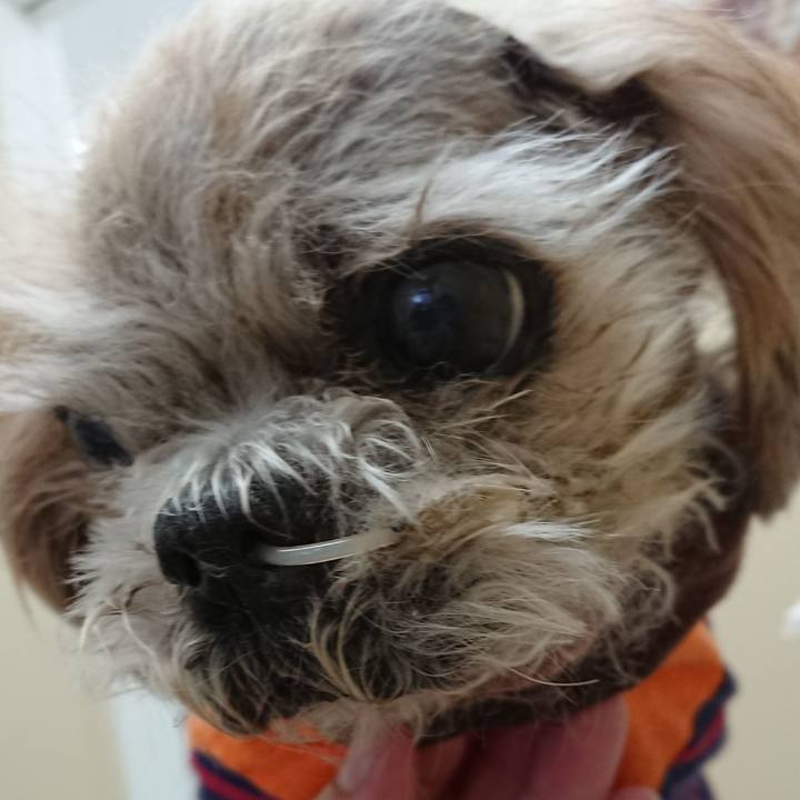 67875ef6 b3f1 4bde abe5 153991c32cba 1715563892710