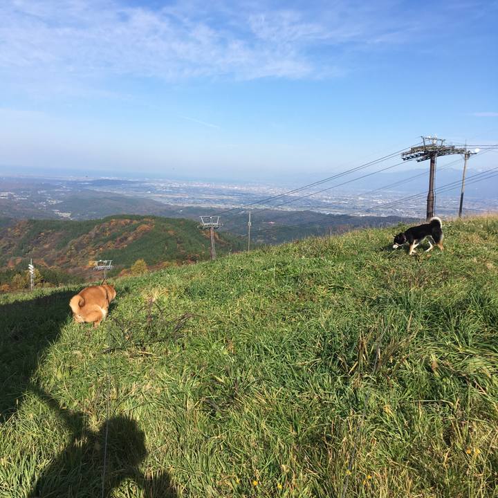 67876391 b637 415a a529 809a5e08761c 1605535861349