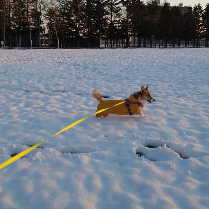 67879683 dc78 4441 ade9 2559de33ecd5 1763595996127