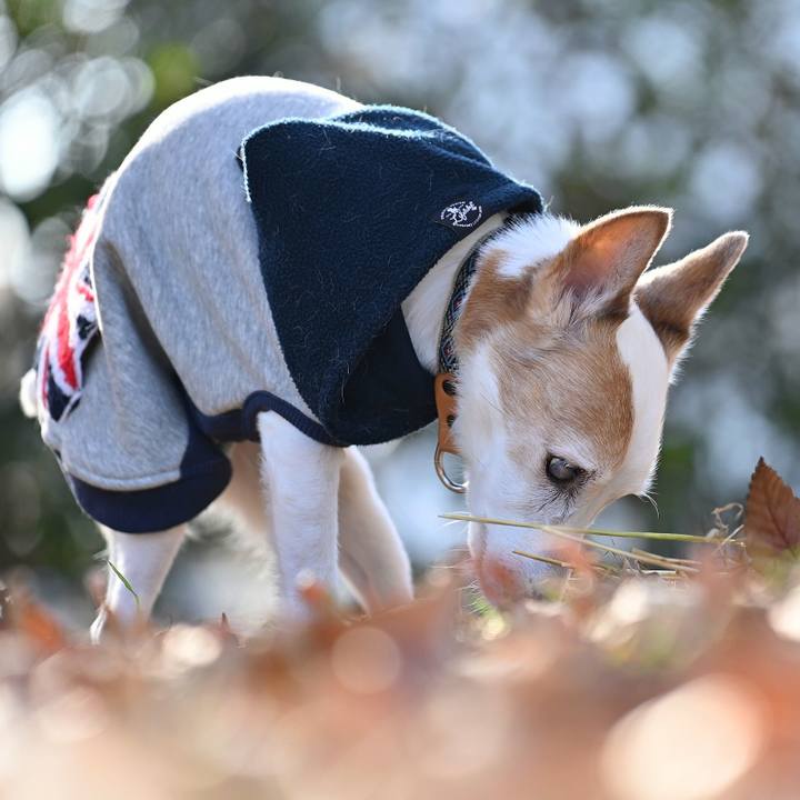 6787d474 d333 41aa 8589 16ced2071a1e 1764501831279