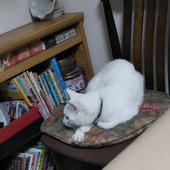 6787e825 e6c7 4fc7 9b69 b10bae9e8e6c 1642457332046