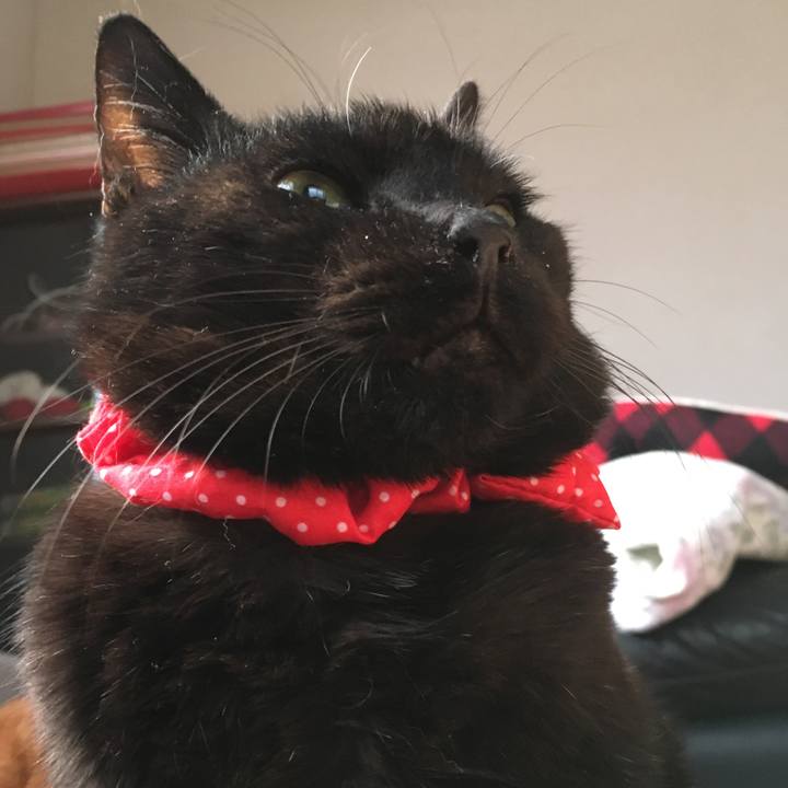 6787f5c7 466f 4ee9 ae5d a28e11ce8434 1548455823425