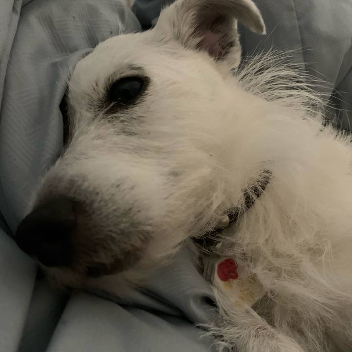 67883a1f 0ece 44e1 a905 e1bc423e26e2 1621692727889